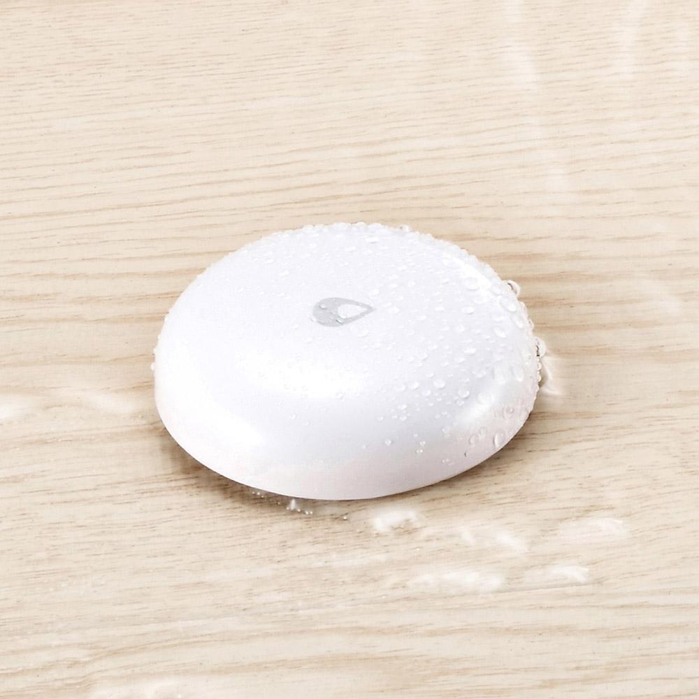 Remote Water Leak Detector For Home Security-1915197589918191622