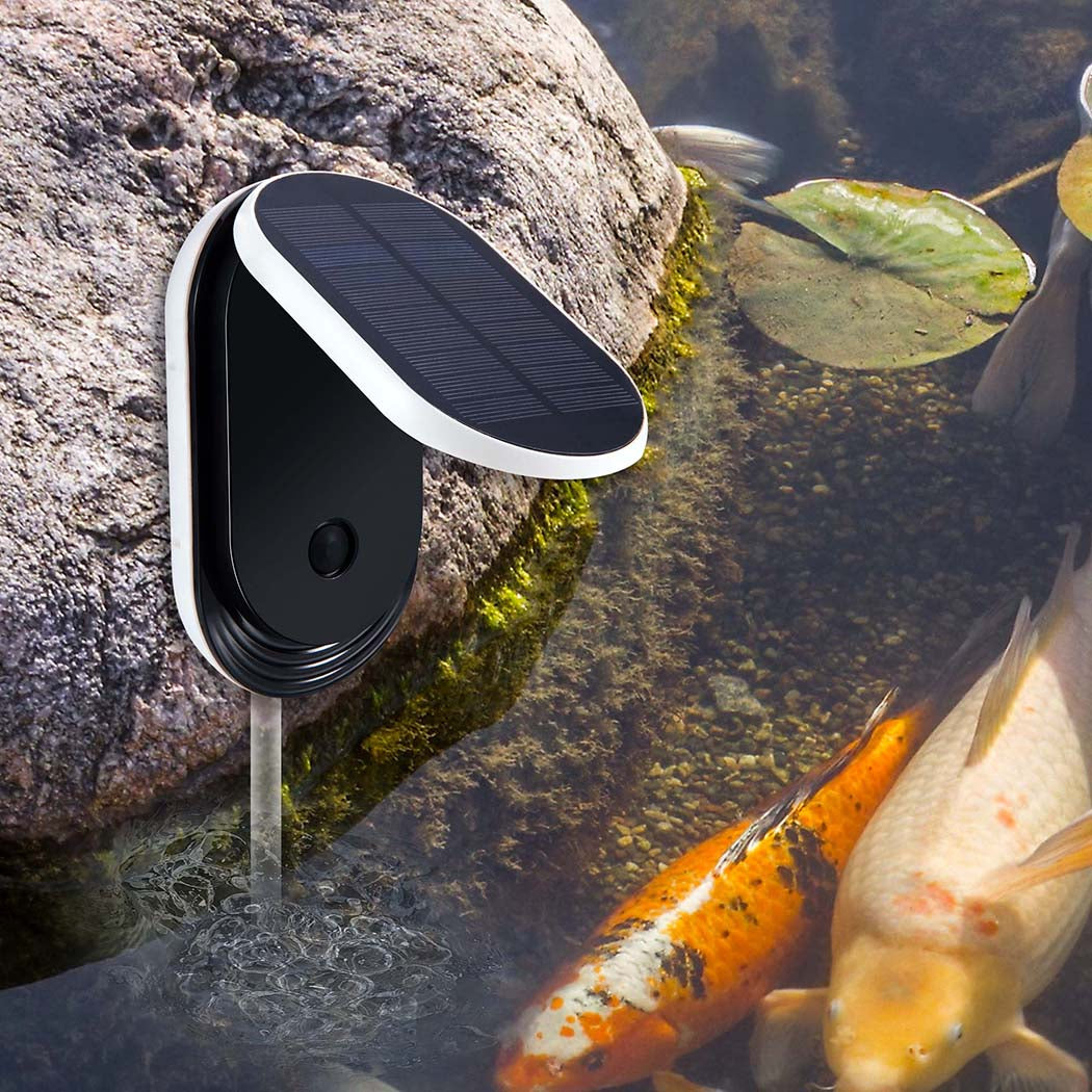Solar Oxygenator Air Pump Powered Pool-1942352899942256647
