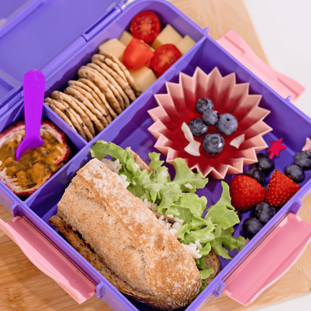 MONTII.CO Bento Plus | Grape-1910112392679919619