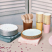 Disposable Tableware