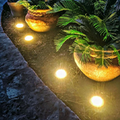 Garden Lights