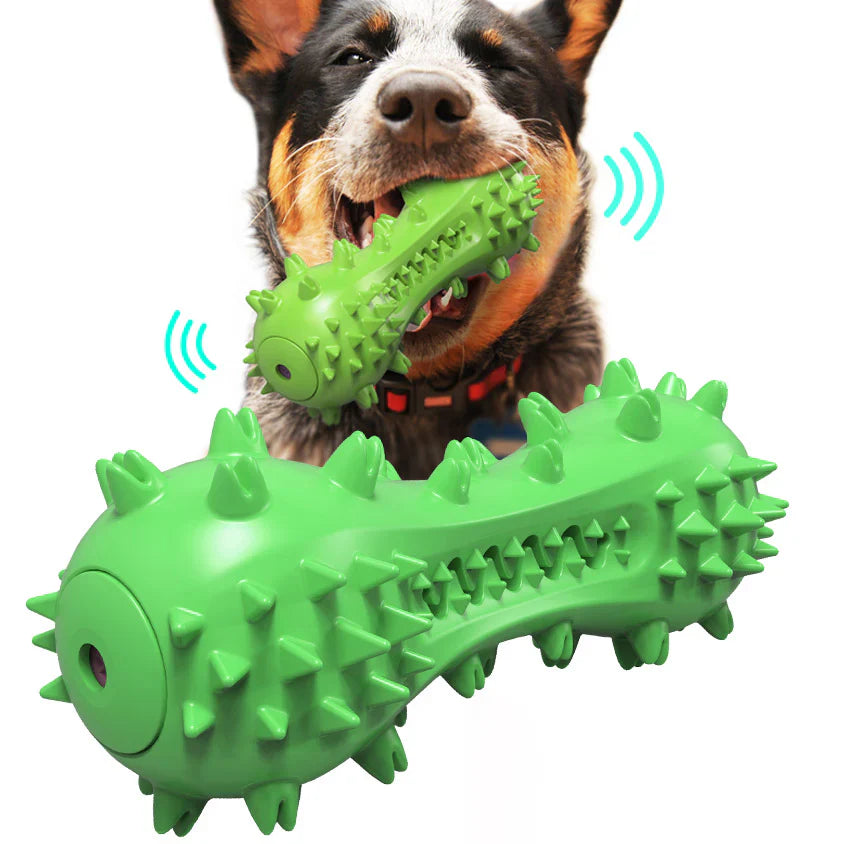 Cat & Dog Grooming