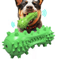 Cat & Dog Grooming