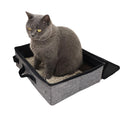Cat Litter & Cleanup
