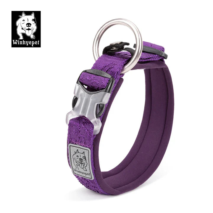 Cat & Dog Collars/Harnesses/Leashes
