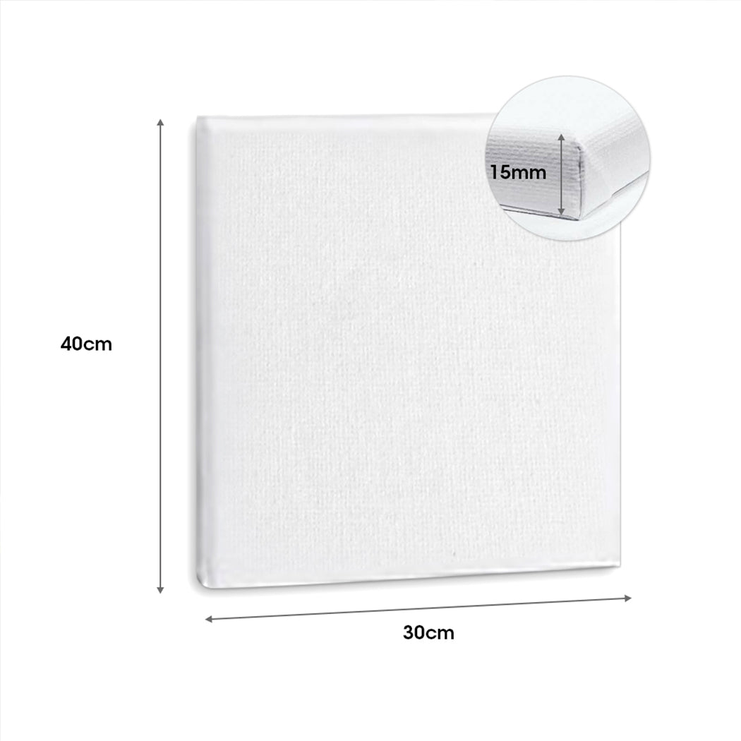 5x Artist Canvas Blank Stretched Canvases-1942353181606547458