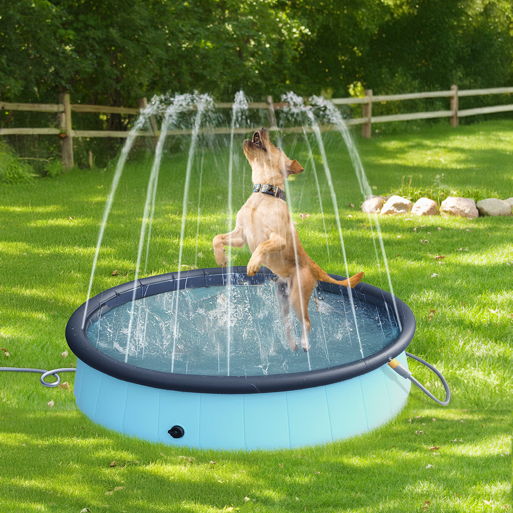 Pawz Folding Dog Swimming Pool-1942353666942046214