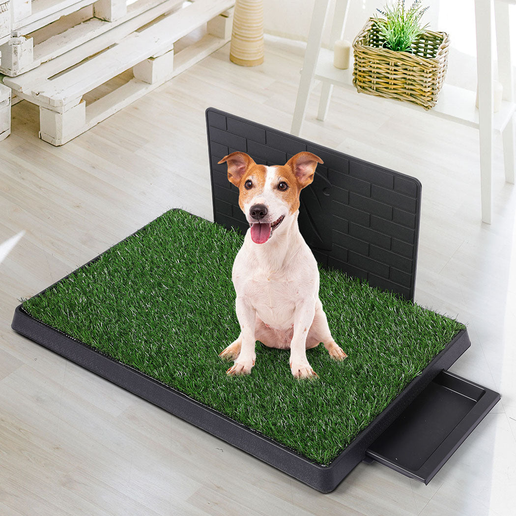 PaWz Indoor Dog Pet Grass Potty Training L-1942353082402869254