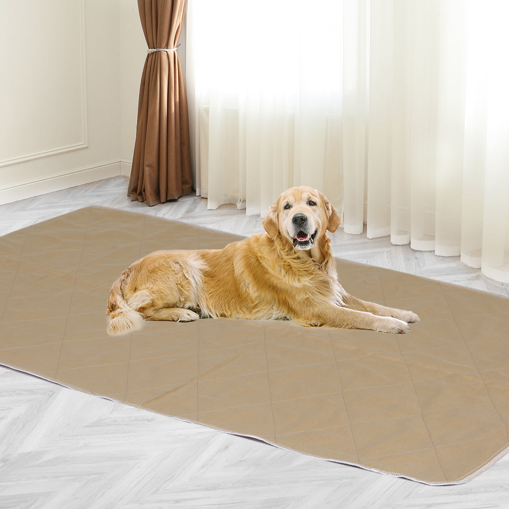 PaWz 2 Pcs 120x180 cm Reusable Waterproof KING-1942353115038748678