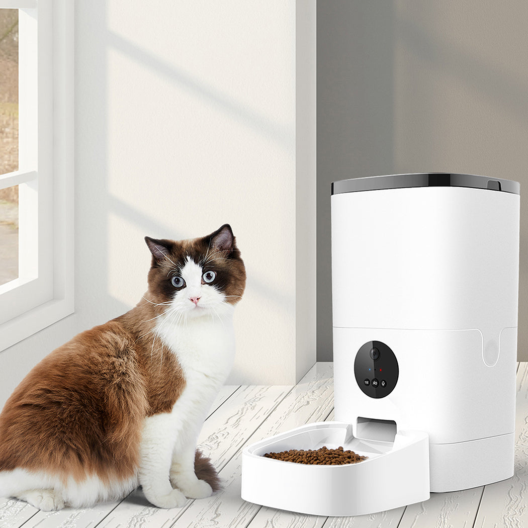 PaWz 6L Auto Feeder Pet Automatic Camera-1942353084424523782