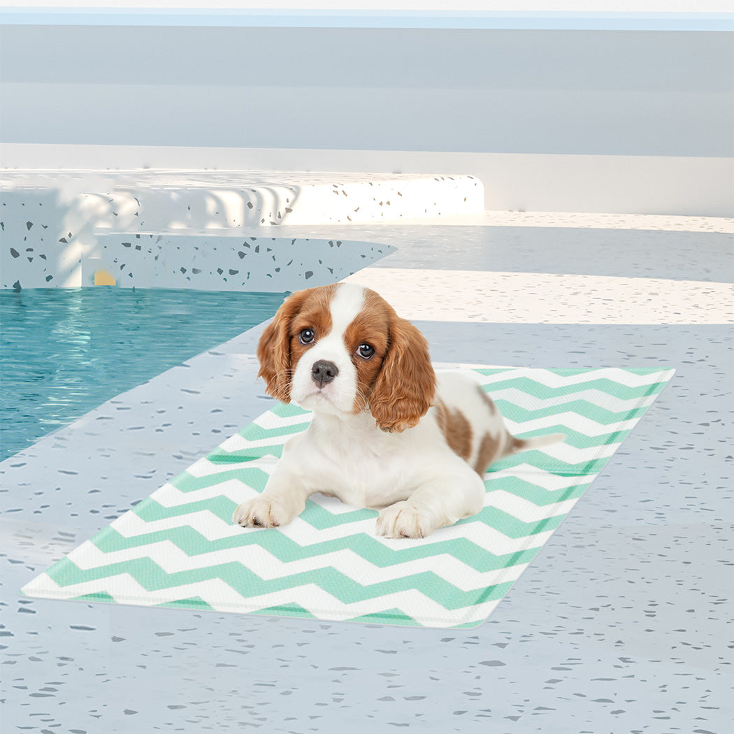 Pawz Pet Cooling Mat S Green-1942353672960872454