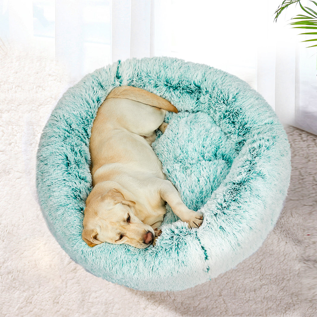 PaWz Pet Beds Dog Cat Soft Warm Kennel XXL Teal XX-Large-1942353074223976454