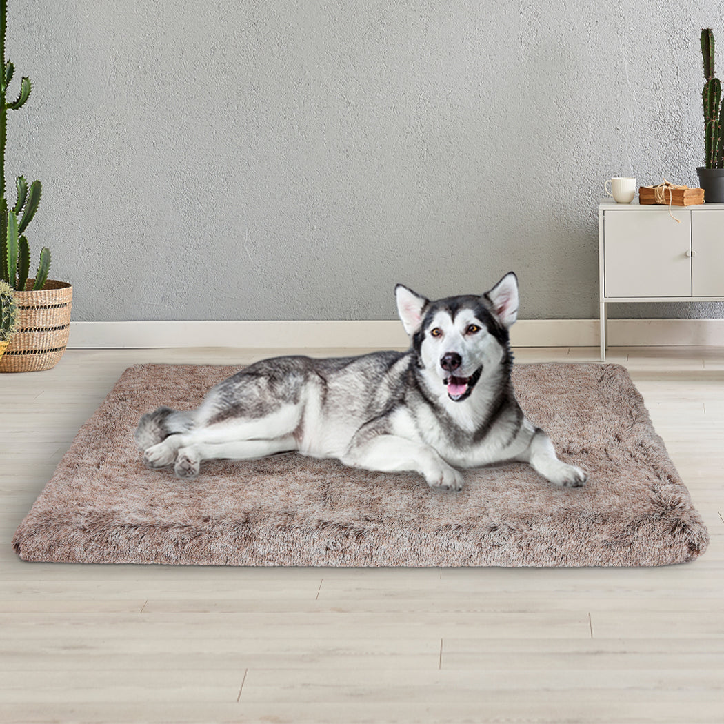 PaWz Dog Mat Pet Calming Bed Memory XL Coffee X-Large-1942352741460480006