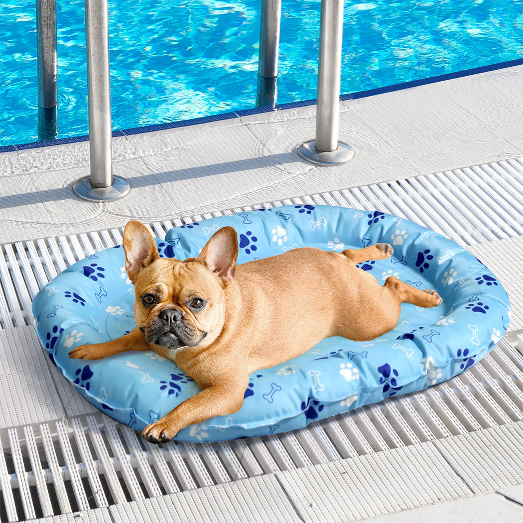 Pawz Pet Cooling Mat S Blue-1942353672780517382