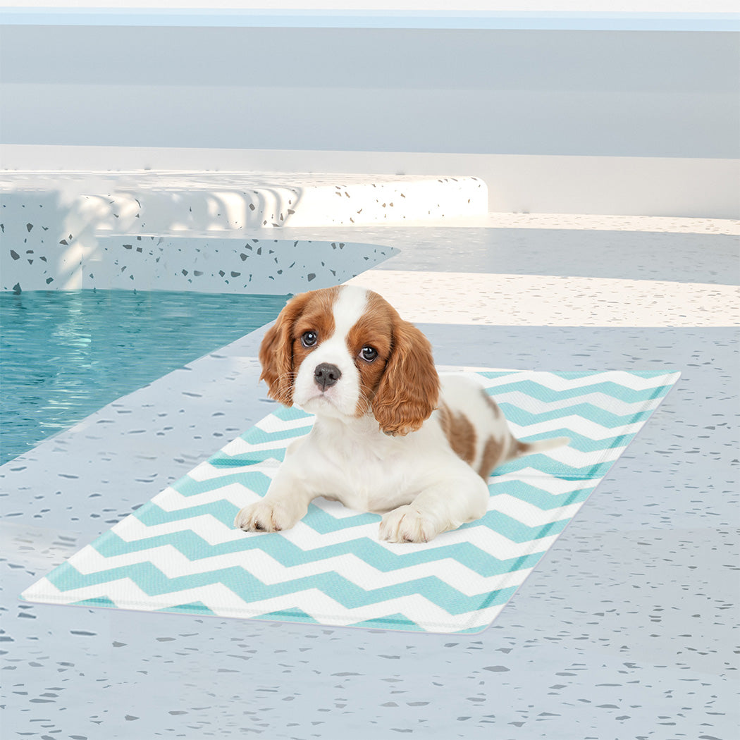 Pawz Pet Cooling Mat S Blue-1942353672608550918
