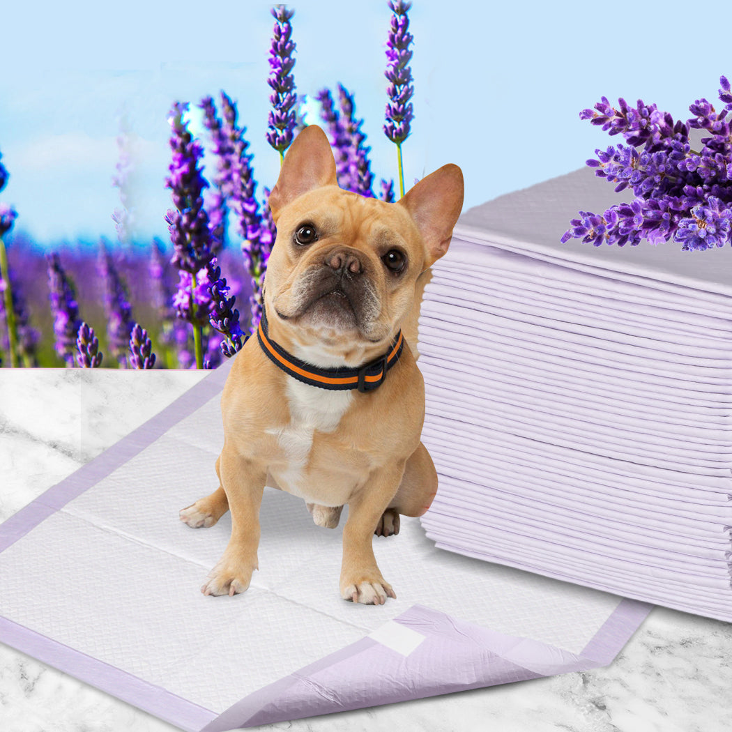PaWz 400x Pet Dog Toilet Training Pad-1942352761647665158