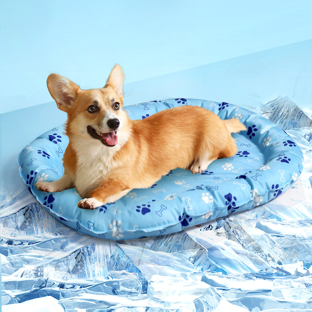 Pawz Pet Cooling Mat M Blue-1942353672042319878