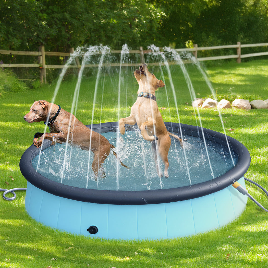 Pawz Folding Dog Swimming Pool-1942353667319533574