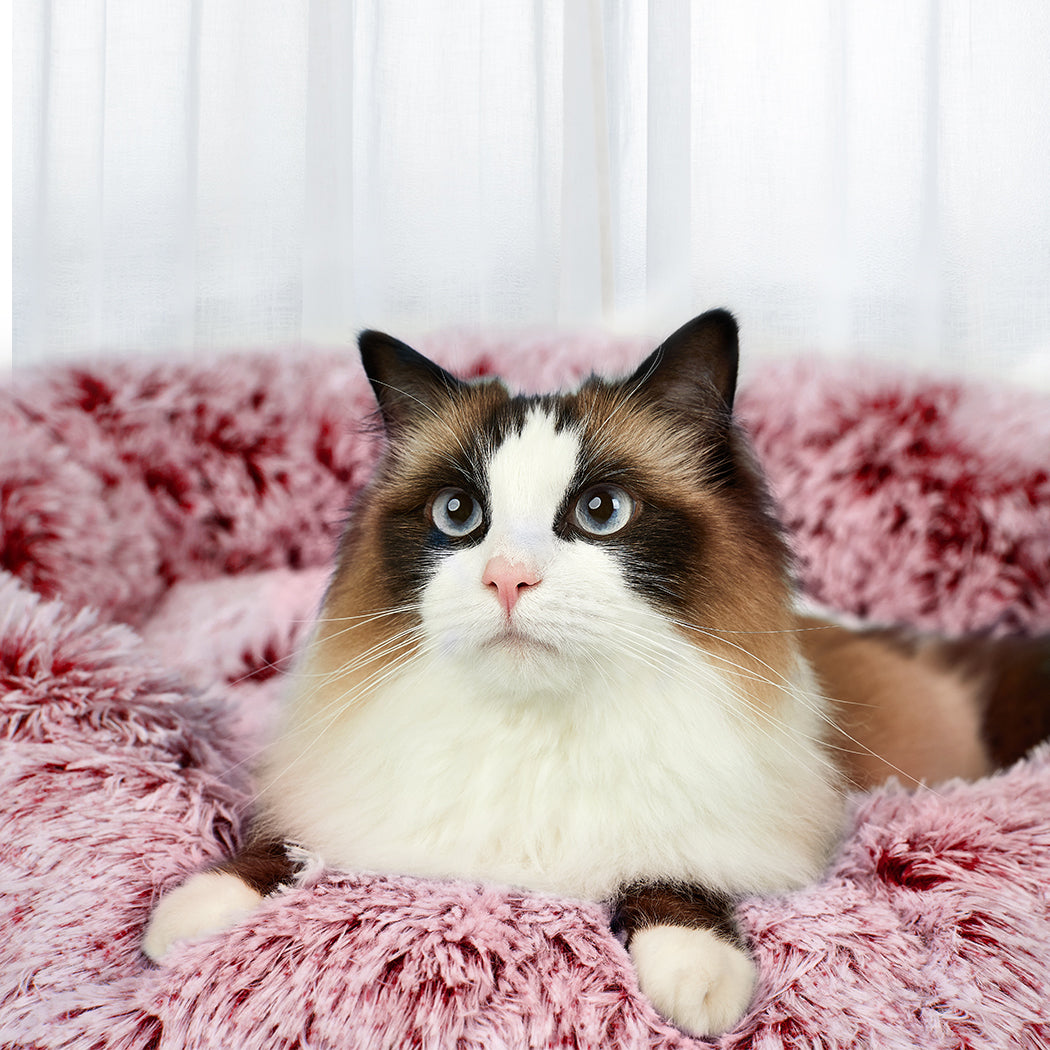 PaWz Pet Bed Memory Foam Dog Donut Pink Medium-1942352766810853382