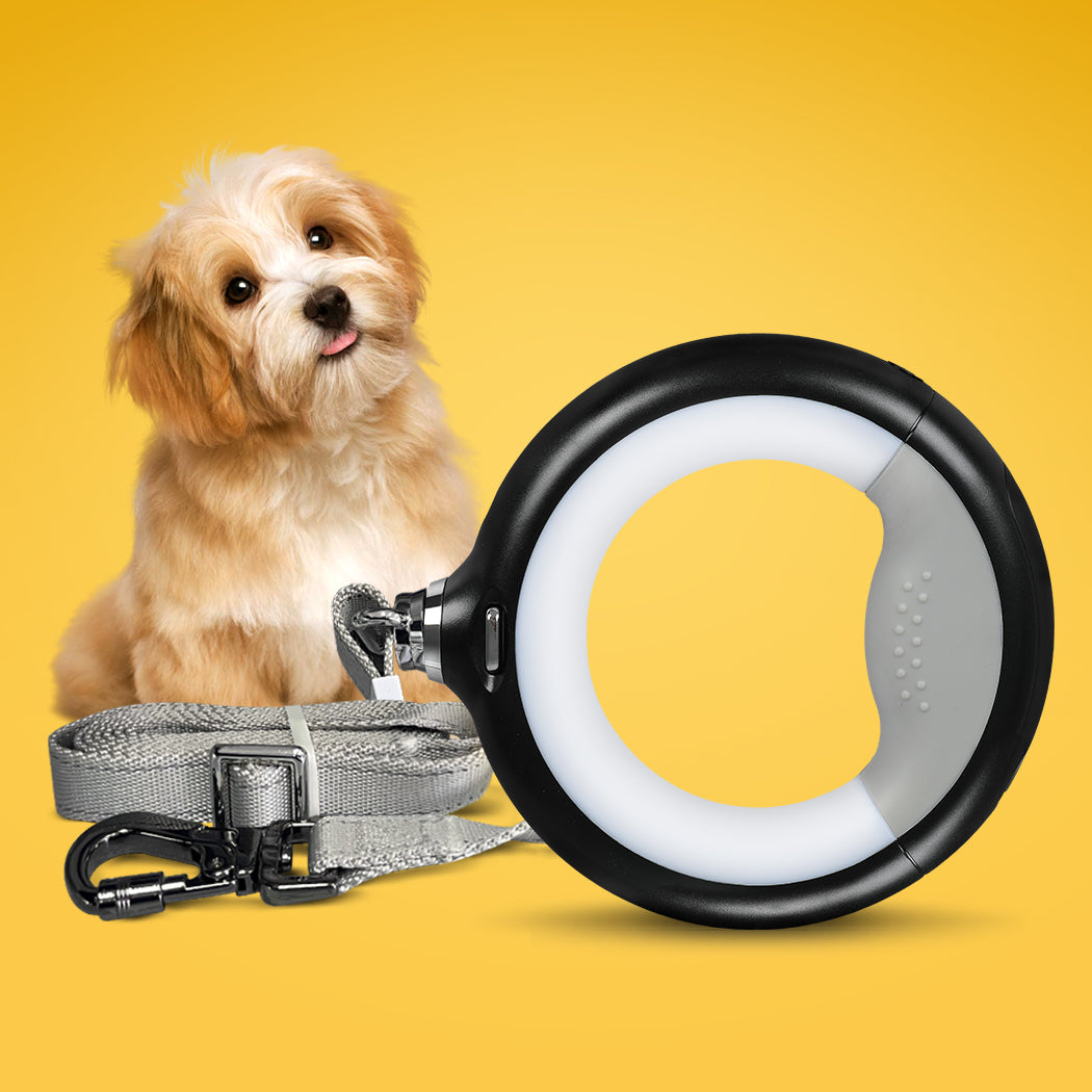 PaWz LED Dog Leash Lead Walking Rope Black-1942352757709213702