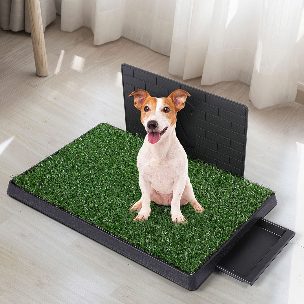 PaWz Indoor Dog Pet Grass Potty Training L-1942353082402869255