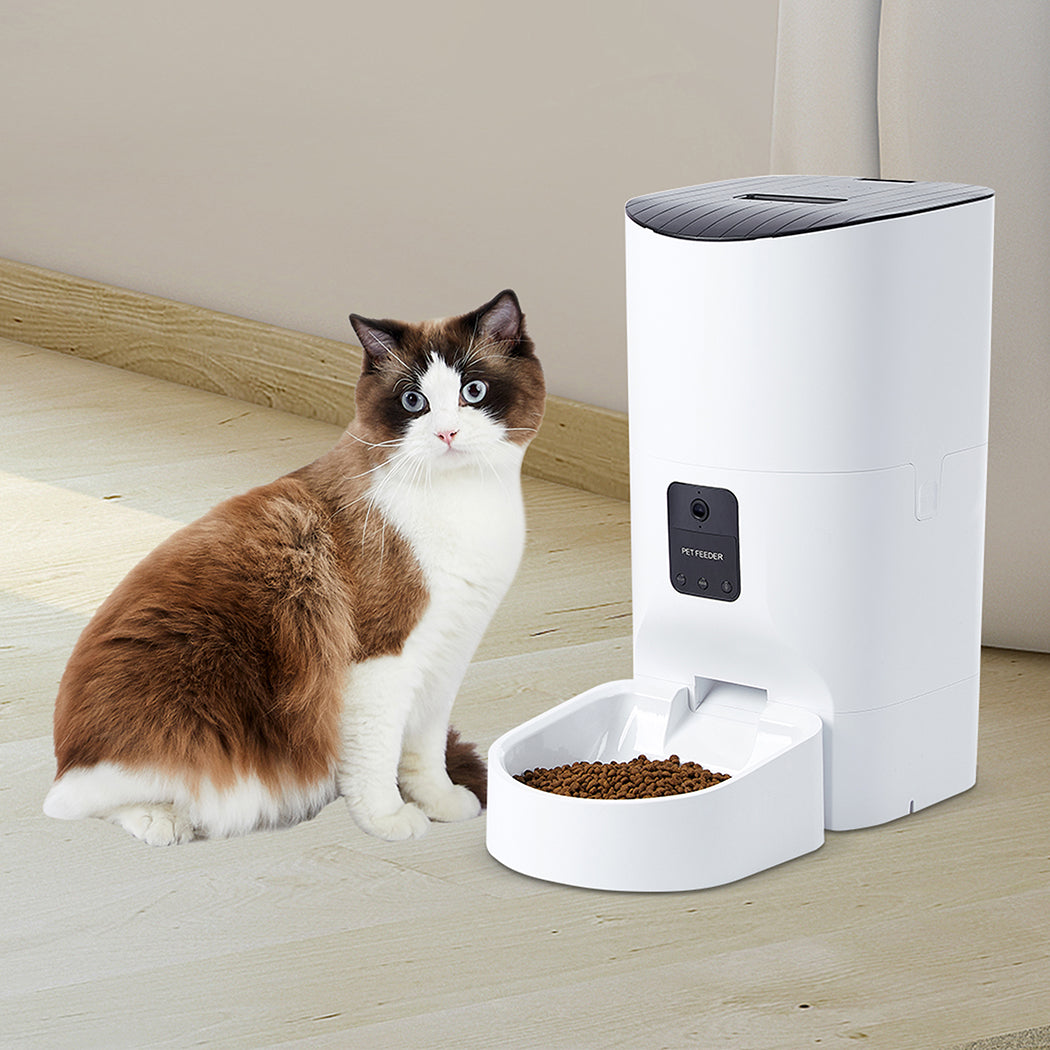 PaWz 6L Auto Feeder Pet Automatic Camera-1942353084424523783