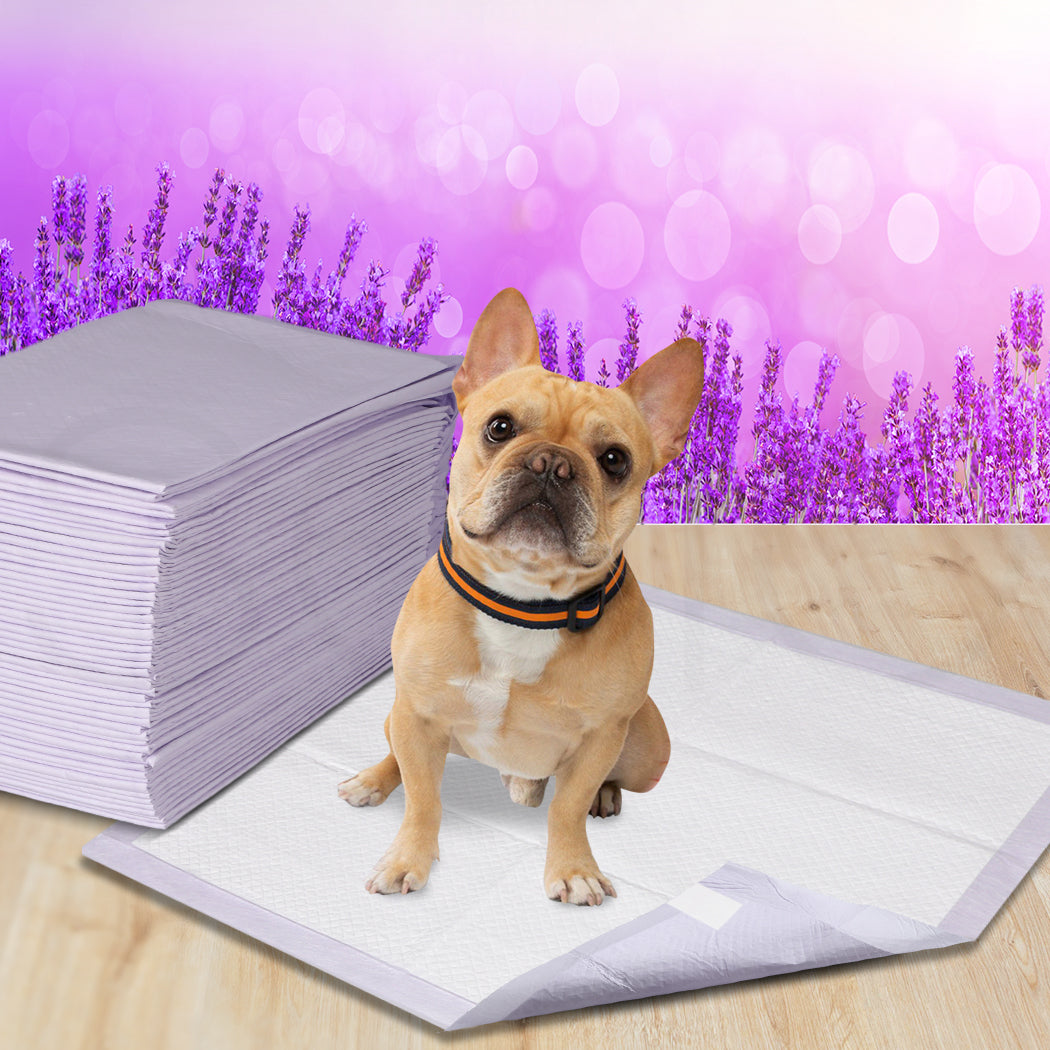 PaWz 400x Pet Dog Toilet Training Pad-1942352761647665159