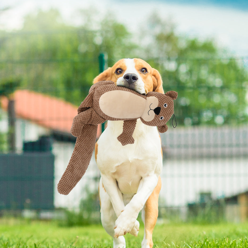 PaWz Dog Chew Toys Squeaky Puppy Pet-1948609563657900039