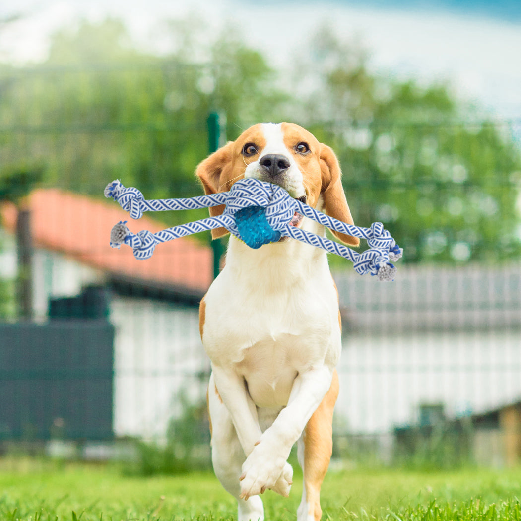 PaWz Dog Chew Toys Squeaky Puppy Pet-1948609563859226631