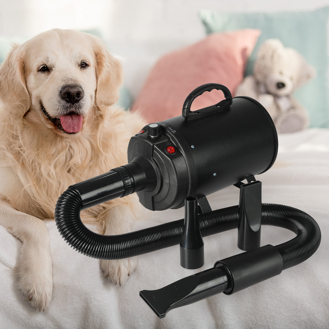 Dog Cat Pet Hair Dryer Grooming Blow Black-1942353928658227207