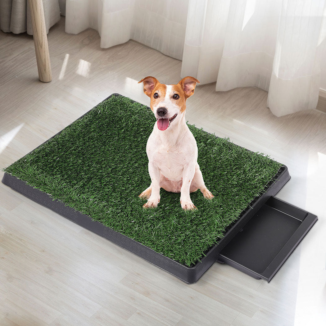 PaWz Indoor Dog Pet Grass Potty Training-1942353082570641415