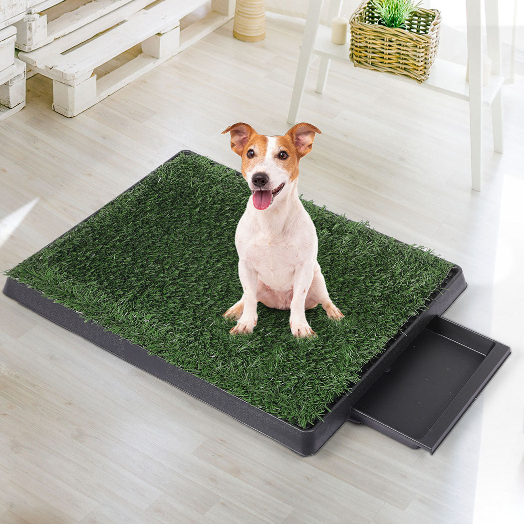 PaWz Indoor Dog Pet Grass Potty Training-1942353082570641414
