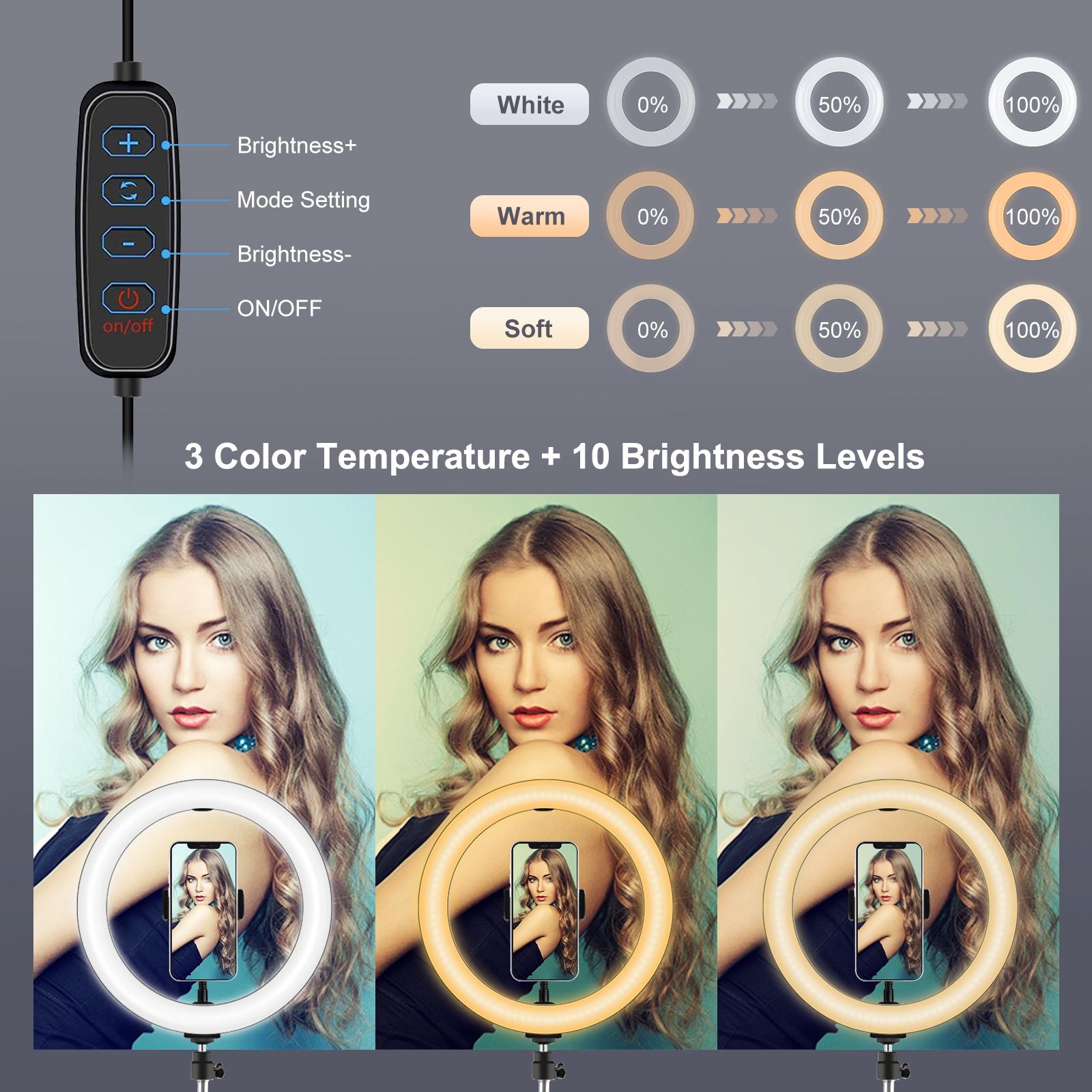 10.2 Ring Light With Tripod Usb 3 Modes Dual Colour Diffuse Light Phone Clamp with Remote - Black-1915196507351552007