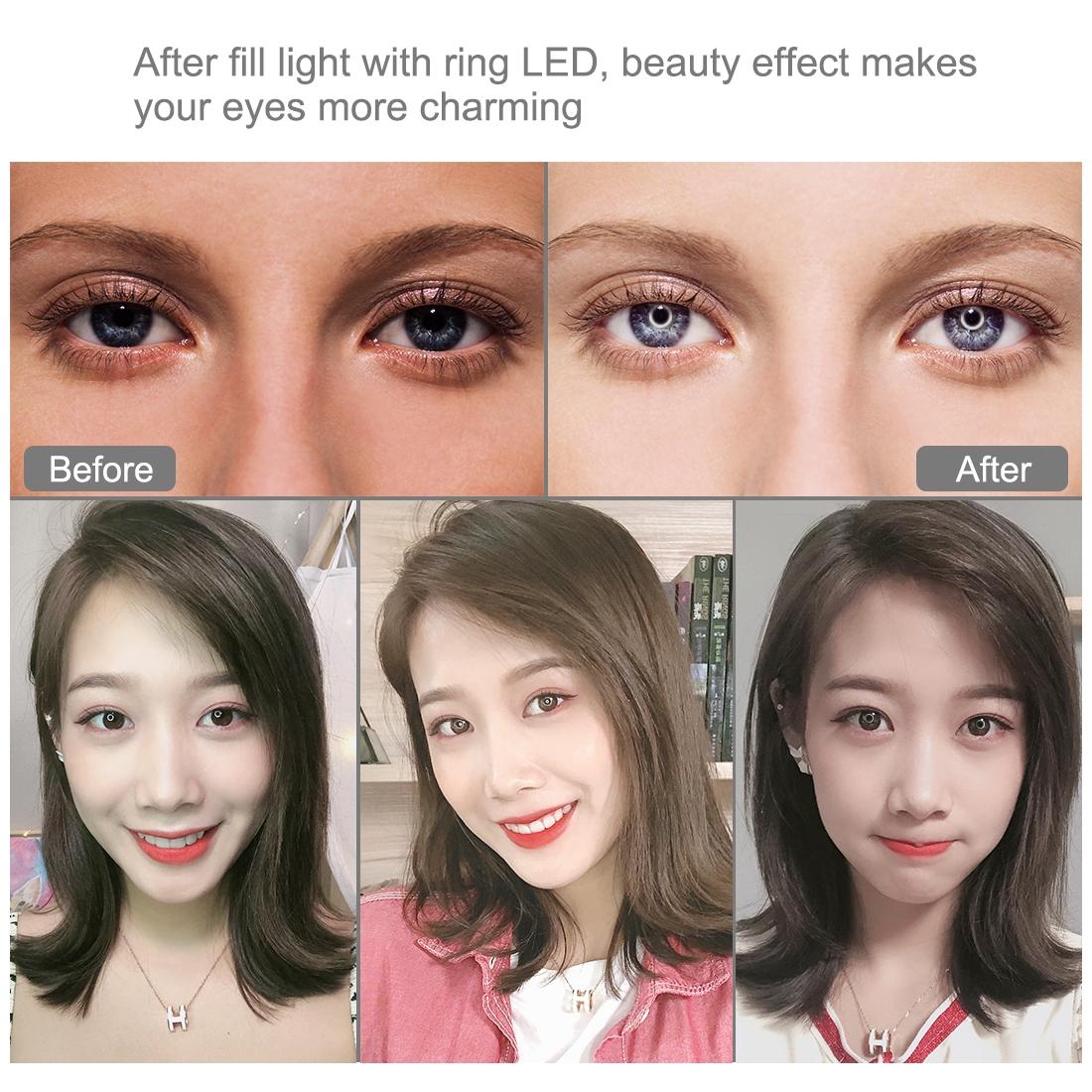 10.2 Ring Light With Tripod Usb 3 Modes Dual Colour Diffuse Light Phone Clamp with Remote - Black-1915196507351552009