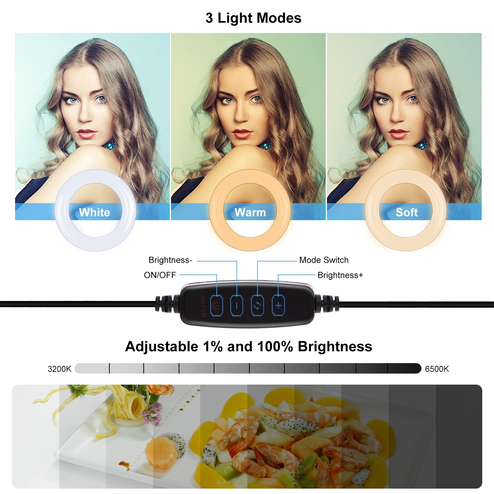10.2 Ring Light With Monitor Clip & Usb 3 Modes Dual Colour Temperature Dimmable Curved Diffuse Vlogging Selfie Beauty Photography Video Lights Phone Clamp - Black-1915196778140012548