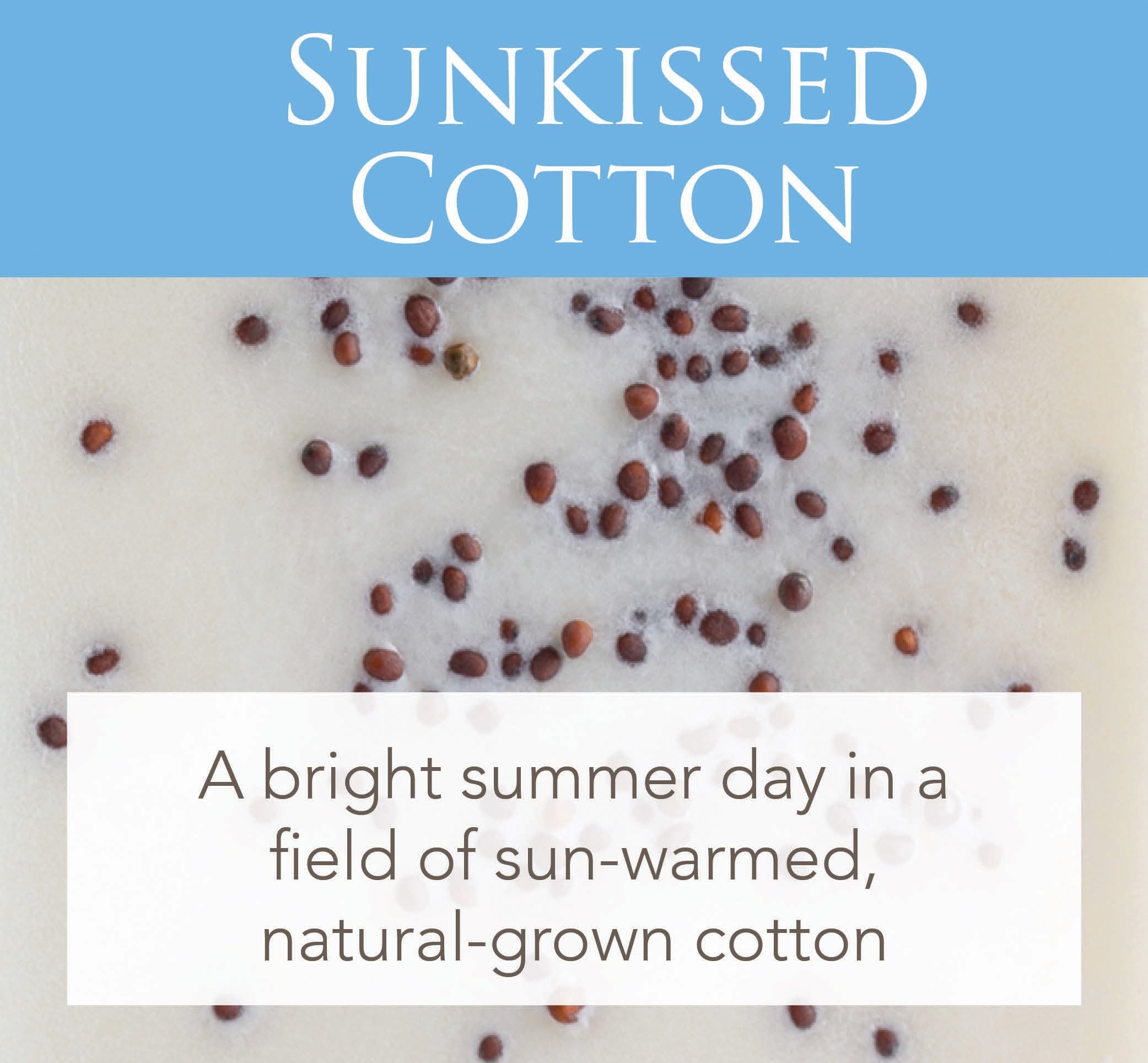 Sunkissed Cotton Wax Melts 2.5oz Strong Scented Soy Wax Cubes