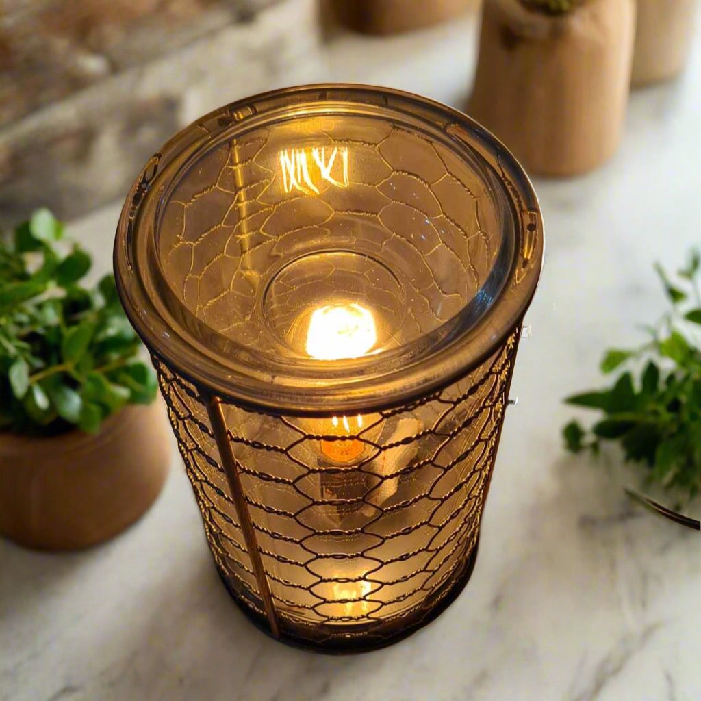 Chicken Wire Edison Bulb Wax Melt Burner Plug In Fragrance Warmer Vintage Home Decor