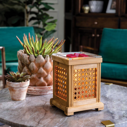 Wood & Cane Wax Melt Burner Plug In Fragrance Warmer Vintage Home Decor Edison Style