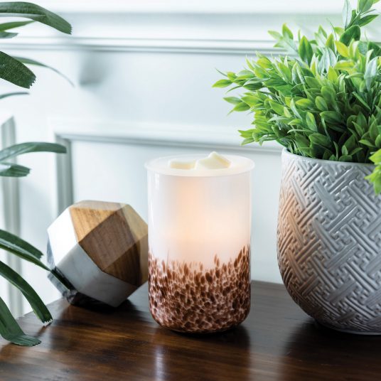 Tiger Shell Glass Wax Melt Burner Plug In Fragrance Warmer Home Decor