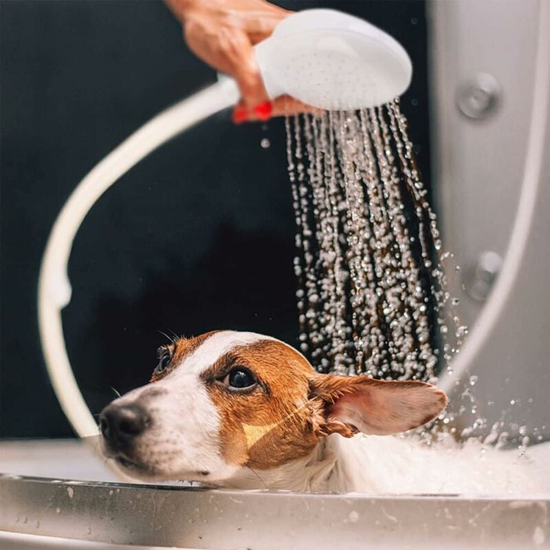 Shower Head for Bathroom Sink Mixer Hose Quick Connect Compatible with Children and Pets Shampoo Basin