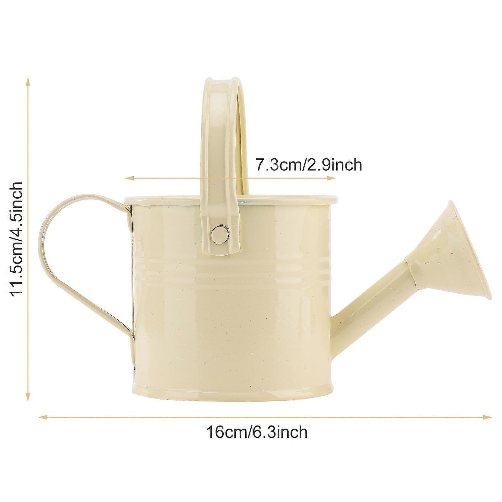 100% New, Mini Iron Watering Can, Spray Bottle, Metal Forging with Handle, Sprinkler Shower Pink