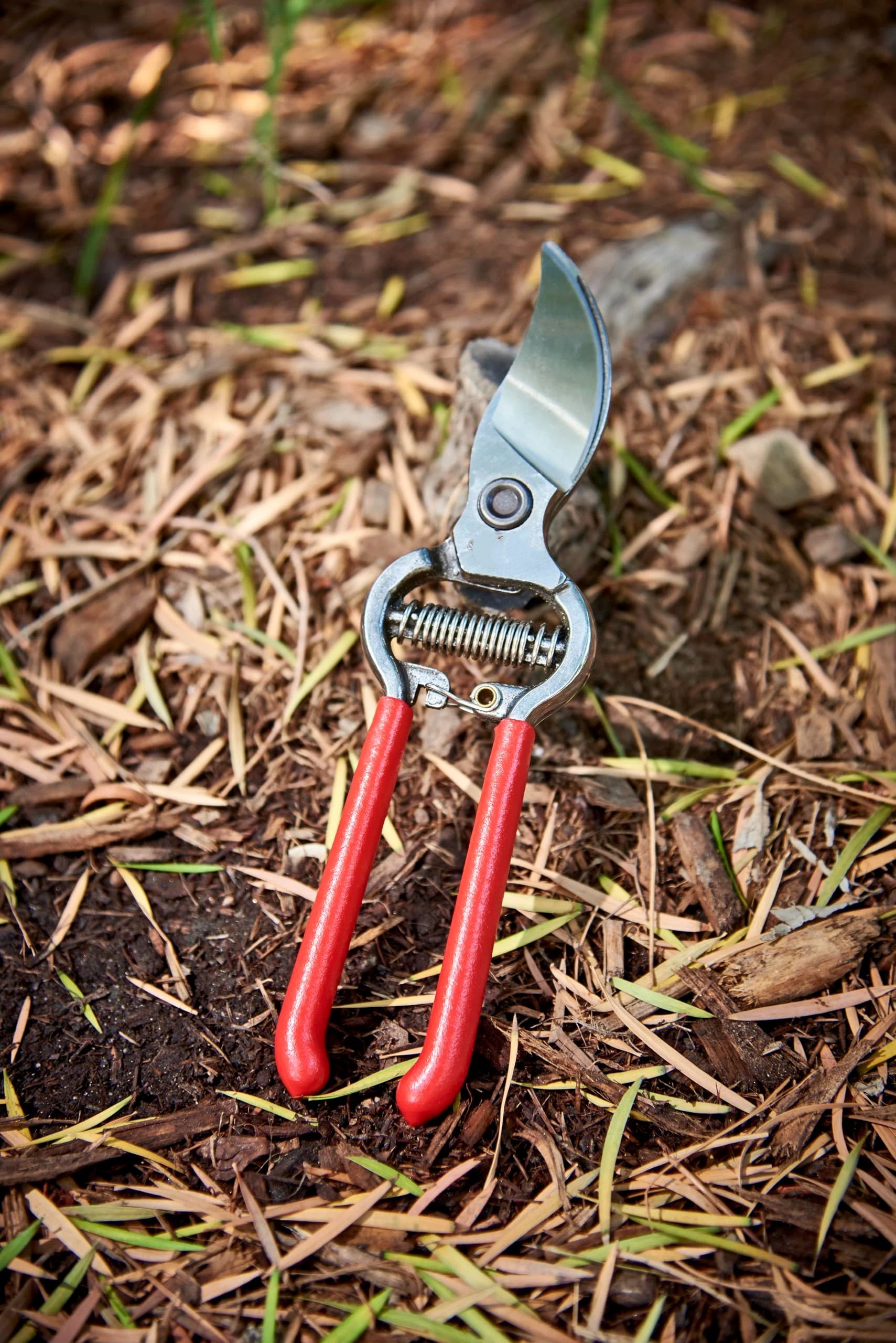 Forged Bypass Pruning Shears for Gardening | Cuts Branches and Stems up to 1/2-inch in Diameter 20cm in length，Red