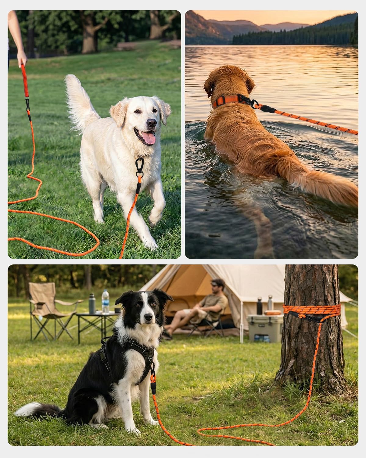 Long Leash for Dog with Removable Padded Handle, Heavy Duty Lead Large Medium Dogs,15FT/30FT/50FT/65FT Reflective Training Play, Camping, Backyard Tie Out, Orange, 30FT Orange