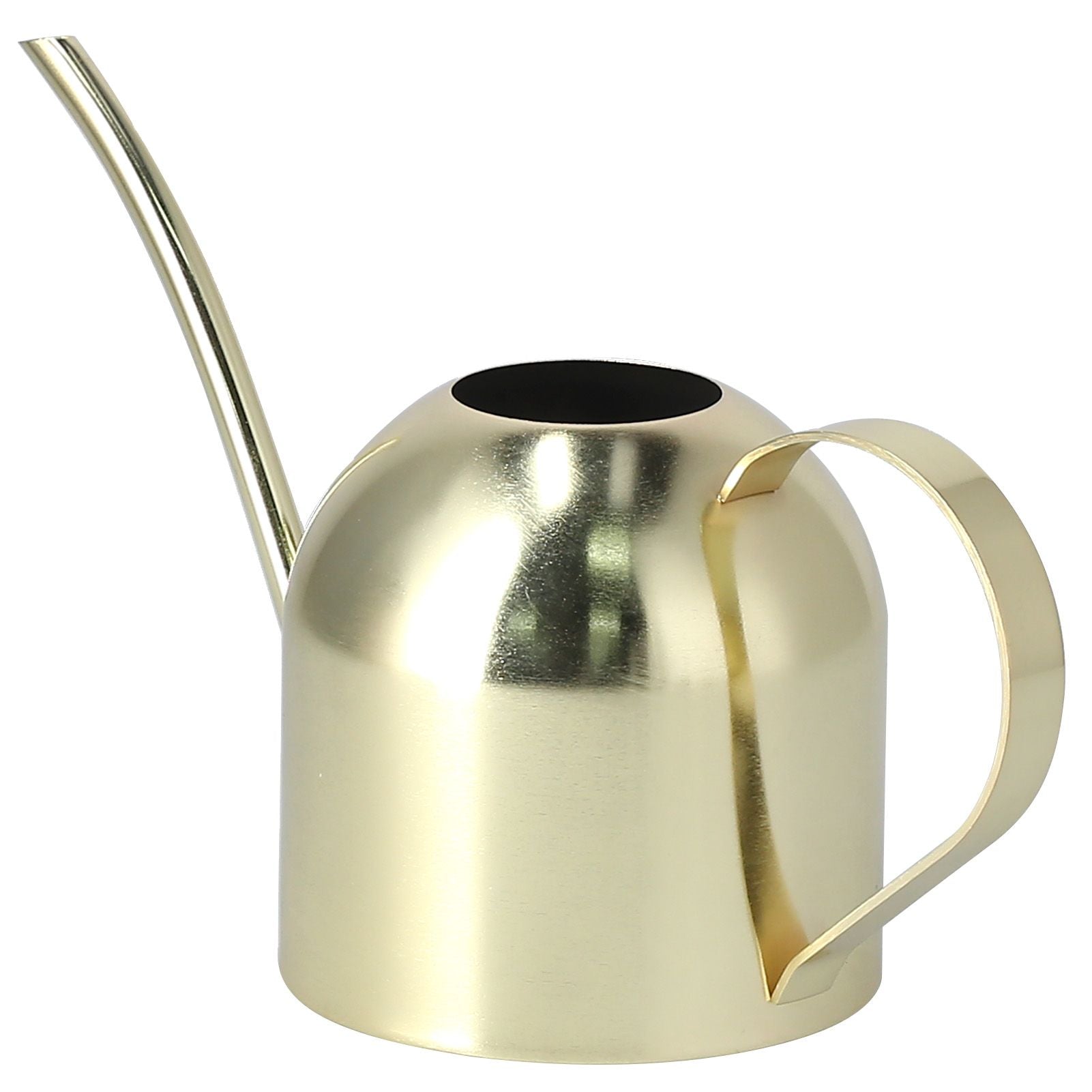 1000ML Watering Can Indoor Vintage Stainless Steel Succulent Flowers Plants Watering Kettle Pot Gold