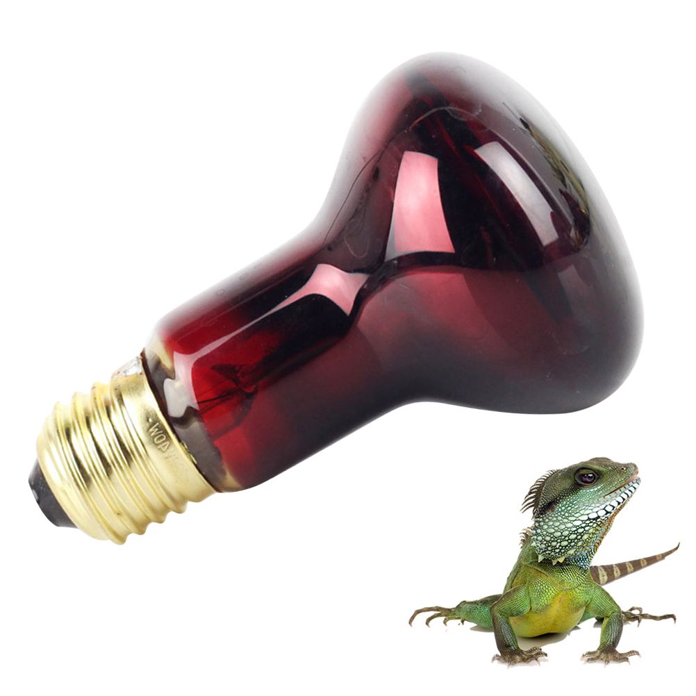 60W Infrared Heat Lamp Red Light Glass Heating Lamp Bulb for Lizard Reptile and Amphibian