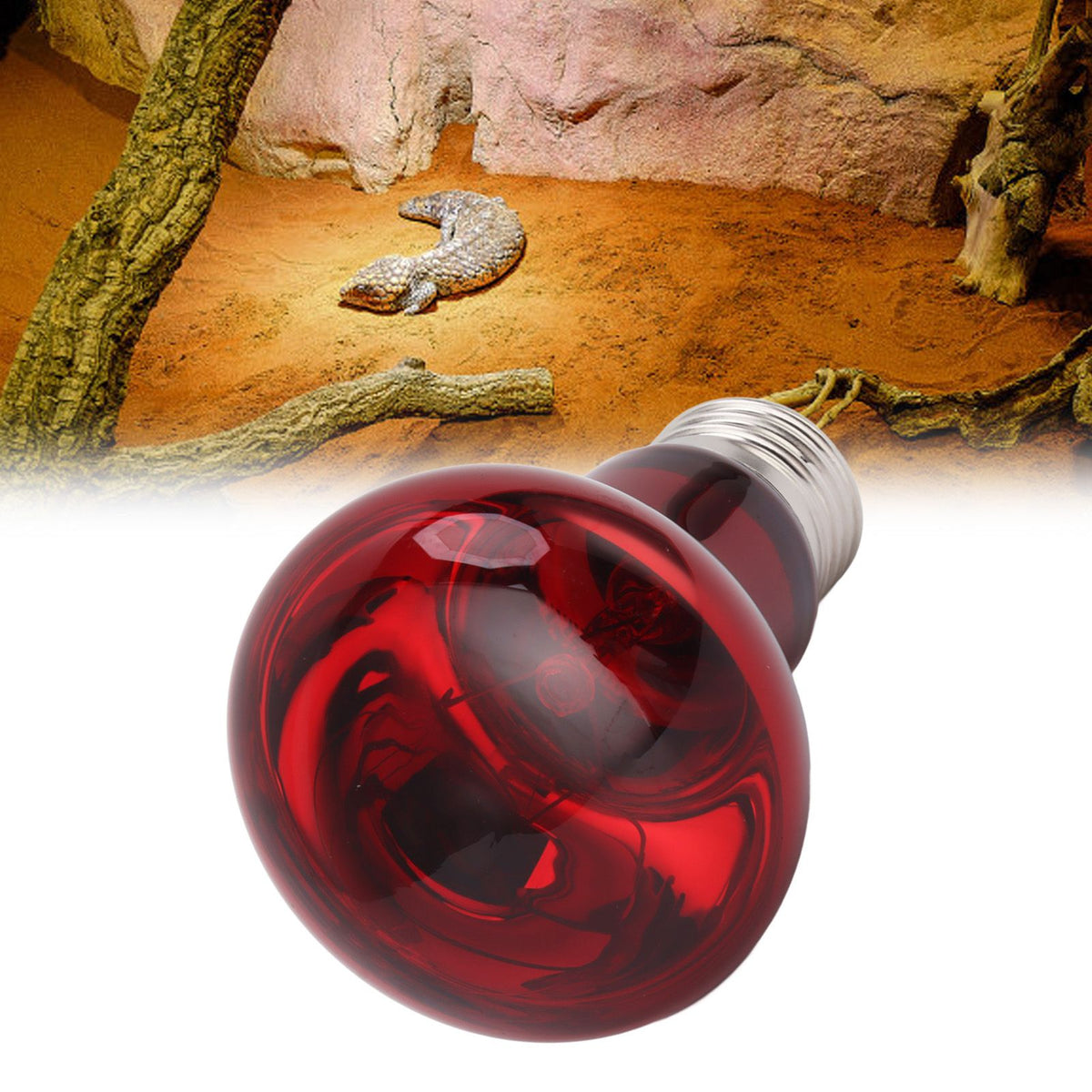 Reptile Heat Lamp Bulb E27 UVA Amphibian Basking Day and Night Heating Light Bulb for Bearded Dragon Lizard 220 to 240V Red