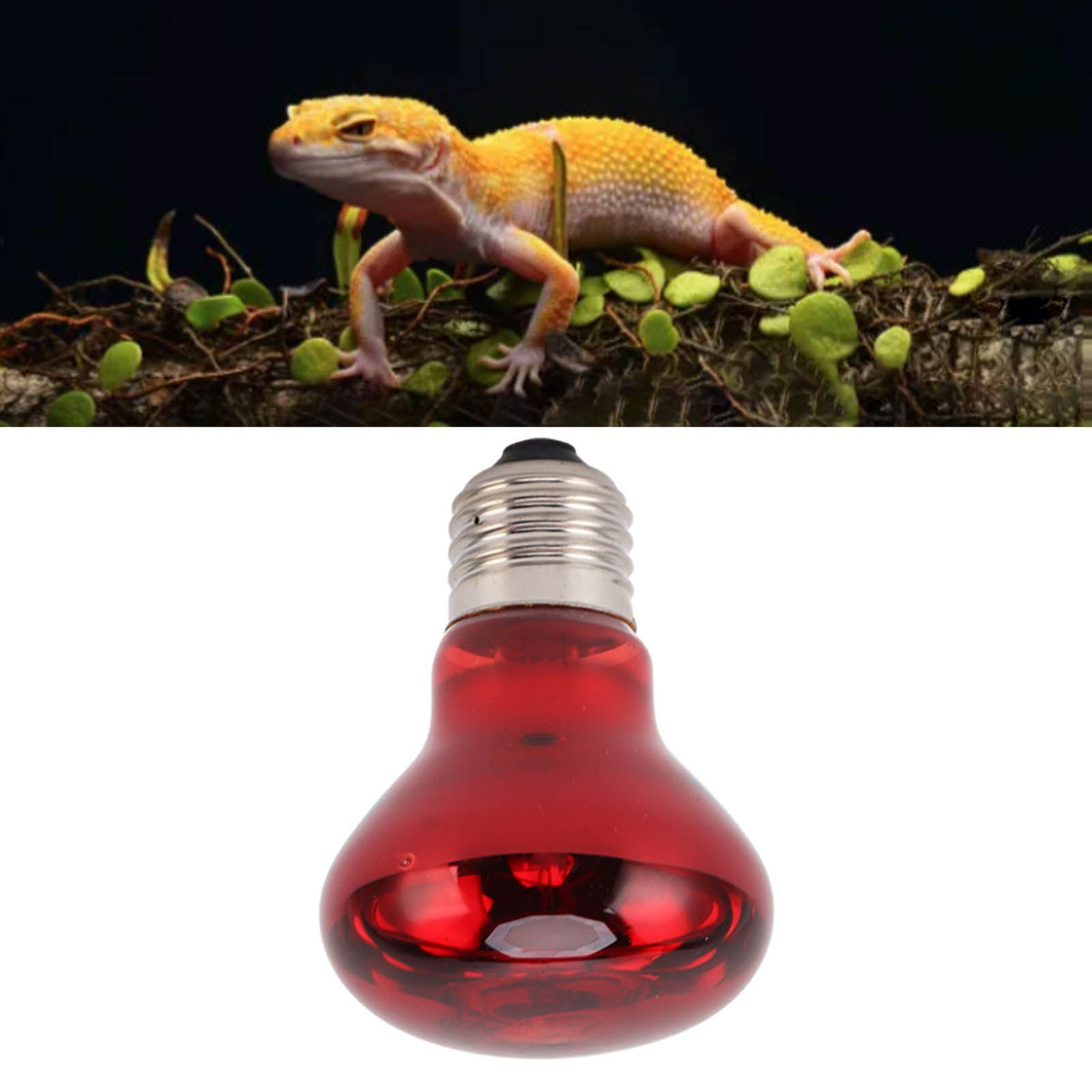 Reptile Heat Lamp Bulb Multifunctional E27 Interface Spot Light Bulb for Snake 220‑240V 100W