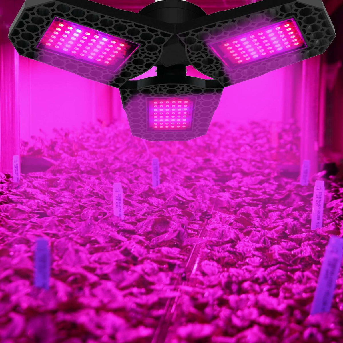 LED Plant Grow Light Foldable Red and Blue Spectrum Plant Light Triple Leaf Trellis Nursery Grow Lights