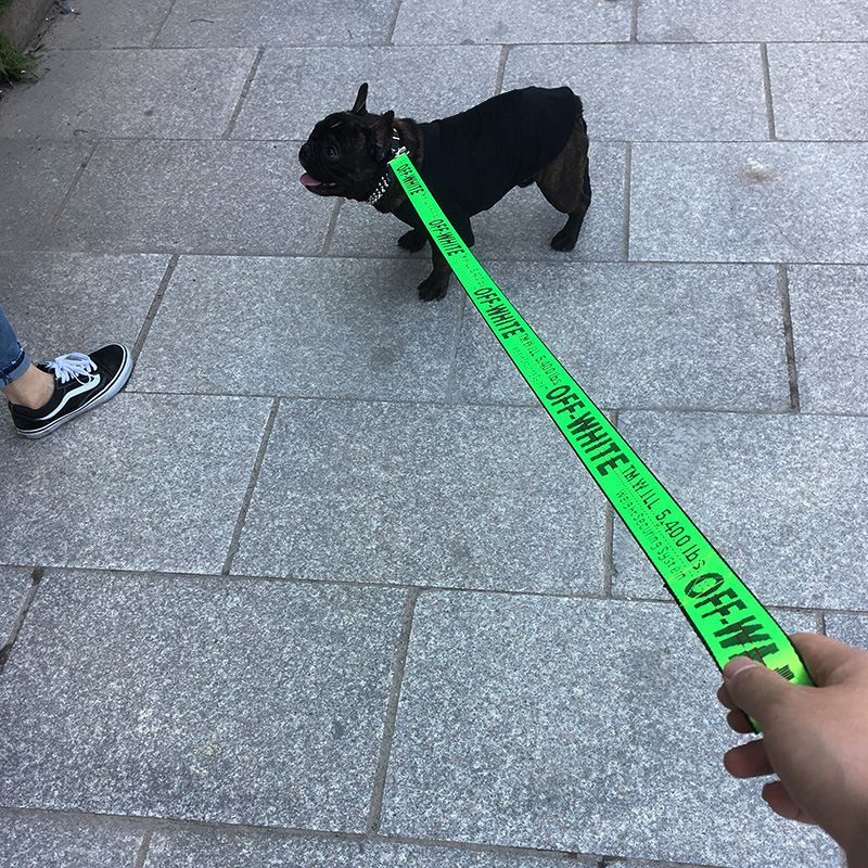 Card Pet Nylon Extendable Dog Leash 150cm Blue Collar (28-58cm)