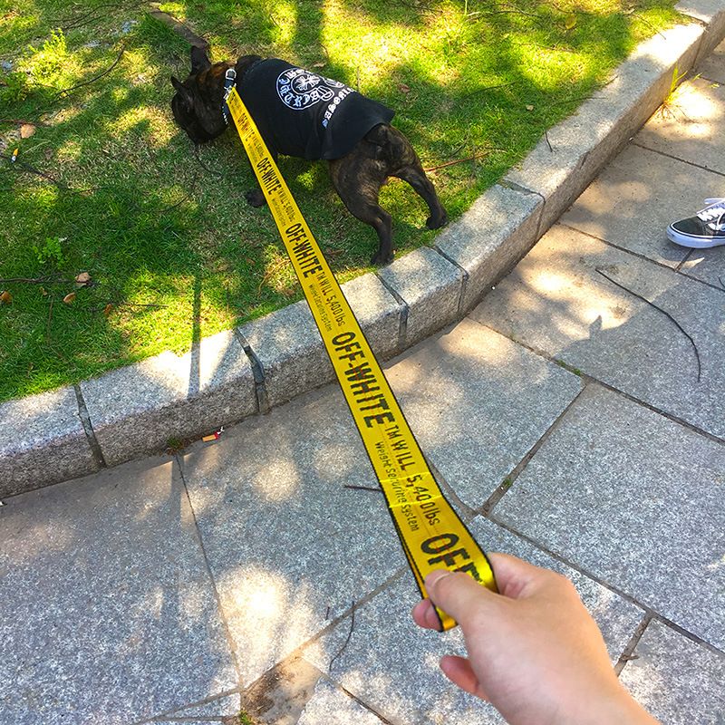 Card Pet Nylon Extendable Dog Leash 150cm Blue Collar (28-58cm)